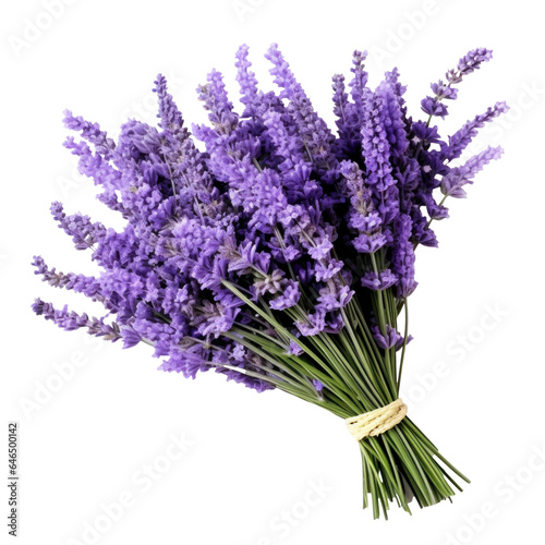 bouquet of purple lavender flowers  png file of isolated cutout object on transparent background.