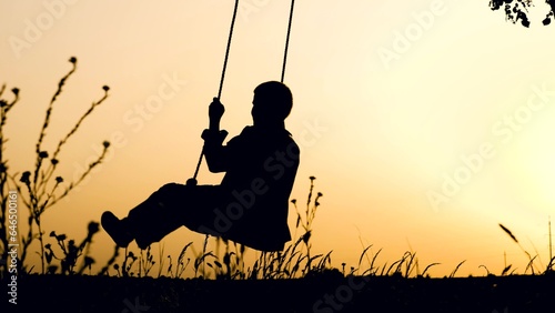 Playful little boy playing swings silhouette in rural park against sunset sky © Валерий Зотьев