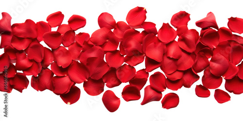 strip of scattered red rose petals, png file of isolated cutout object on transparent background.