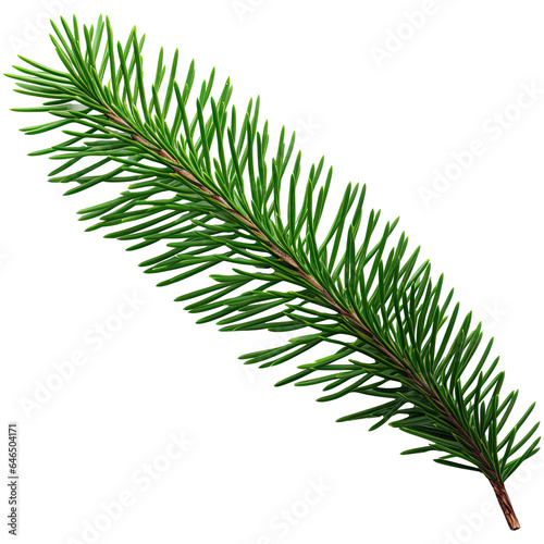 Green branch of nobilis fir  isolated on transparent background