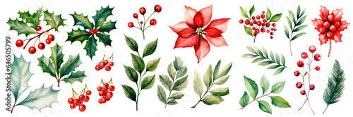 Set of watercolor christmas poinsettia and leaves, isolated on transparent background