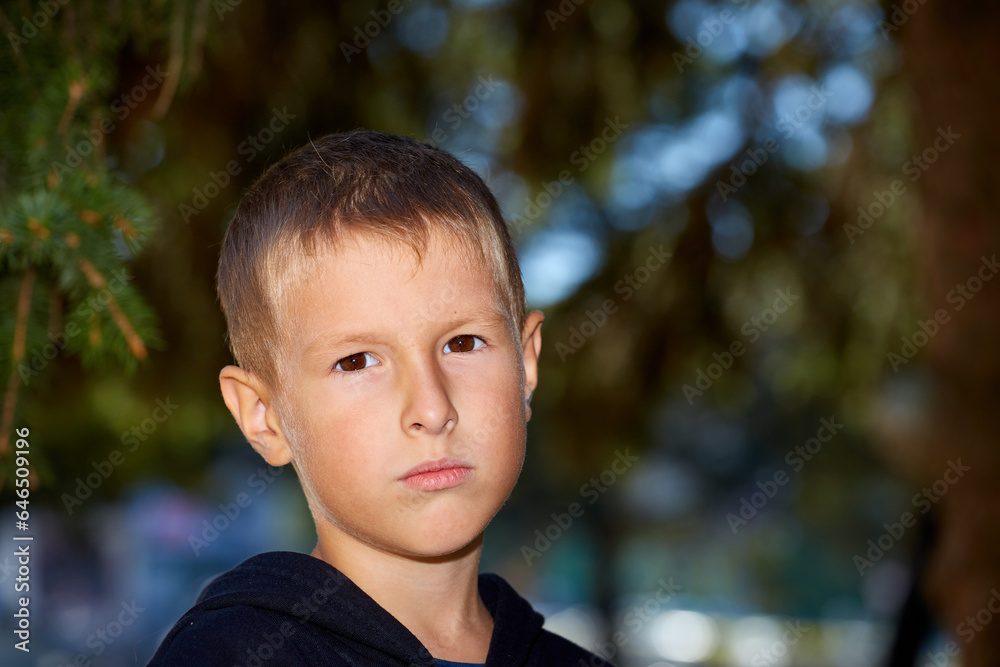 Boy posing in the park against the background of Christmas tree branches Boy posing in the park against the background of Christmas tree branches