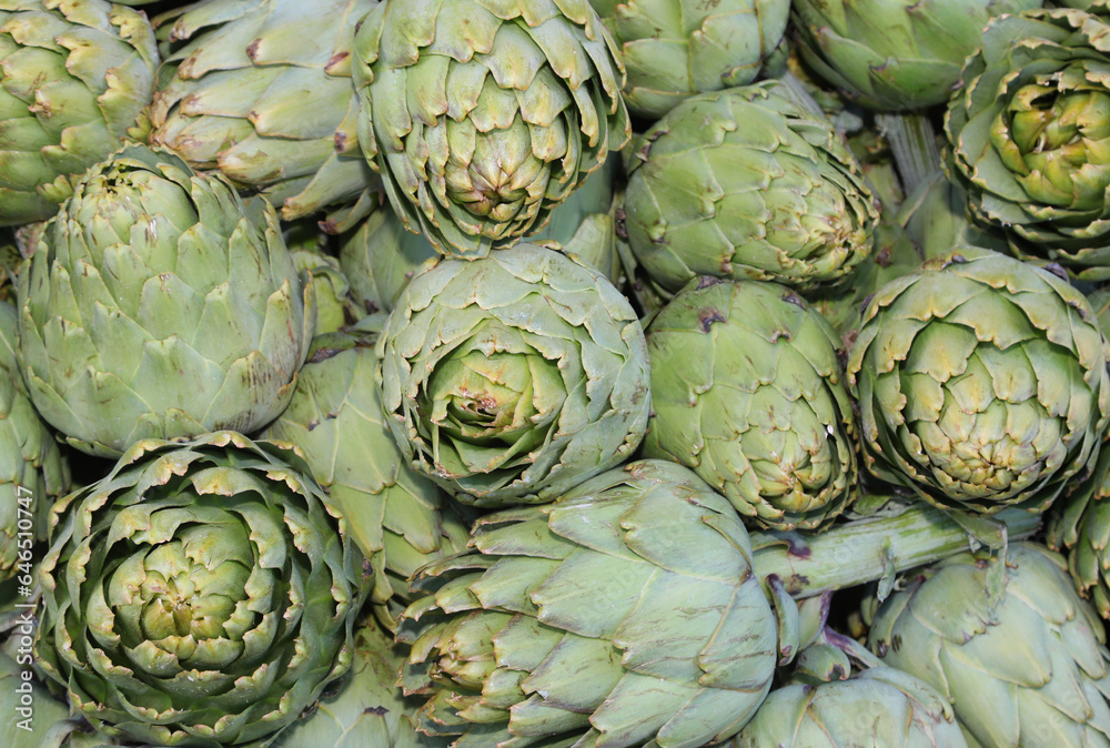 background of green large ripe artichokes for sale at market background of green large ripe artichokes for sale at market