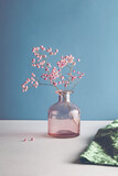 dried flower on pink glass vase with green textile on blue background. selective focus. Still life, art, minimalism concept. Botany styled. copy space