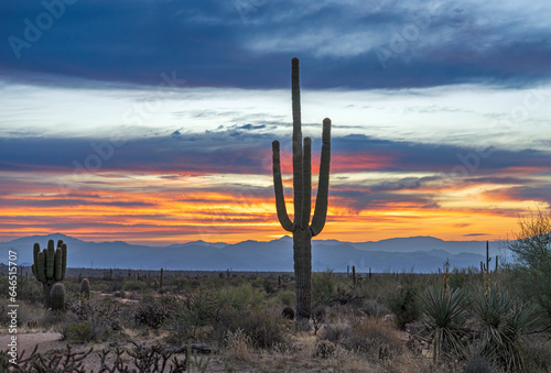 Colorful Desert Sunrise Landscape With Mountains And Saguaro Cactus © Ray Redstone