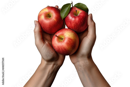 red apples in the palm, isolated object on transparent background. png file