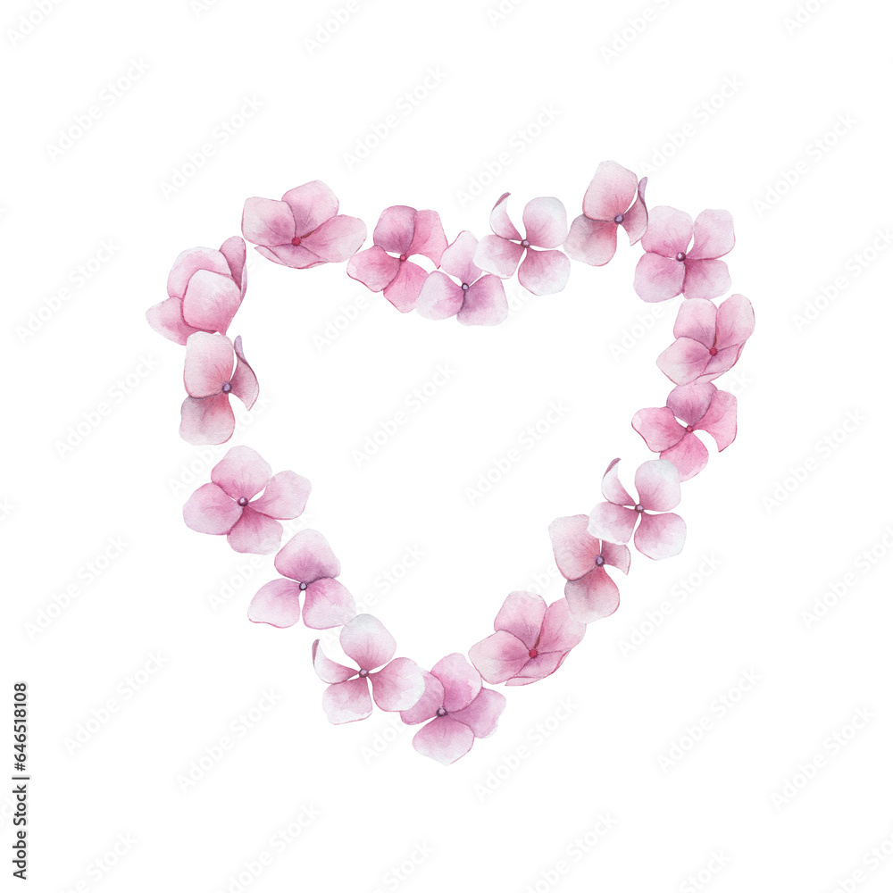 Watercolor print  with pink hydrangea heart. Watercolour hortensia. Floral design on white background. Hand drawn isolated  illustration