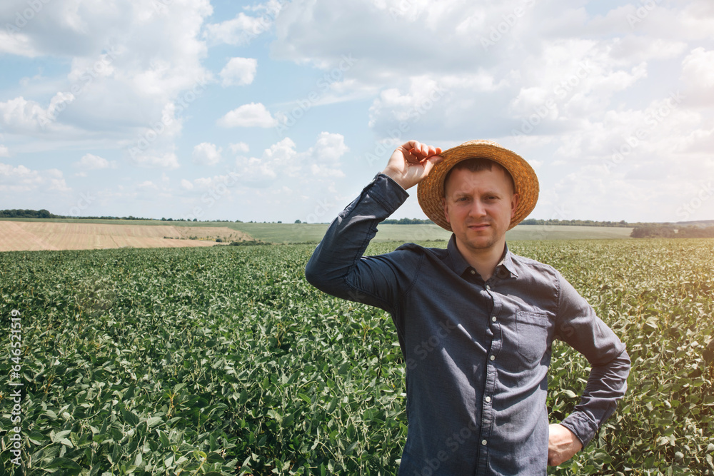 Farmer, agronomist in the soybean field. Controlling the growth of agricultural crops. Green soy with beans. Front view