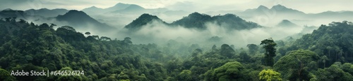 Jungle and mountains natural background