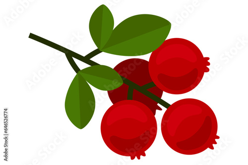 Cranberry branch with leaves. Fruits of lingonberry isolated on white background. Red berries simple flat icon. 