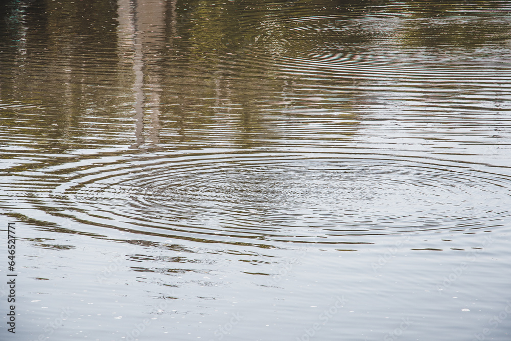 Obraz premium ripples in water