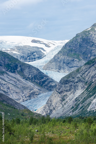 Landscape view of the Nigardsbreen melting glacier and the forest in Norway