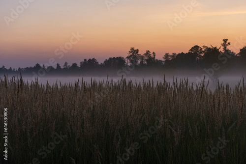 Zamglony zachód słońca w Polsce © Rafal