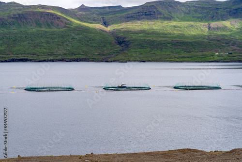 Fish farm nets, near Djupivogur town in Eastern Iceland. Berufjordur fjord landscape. photo