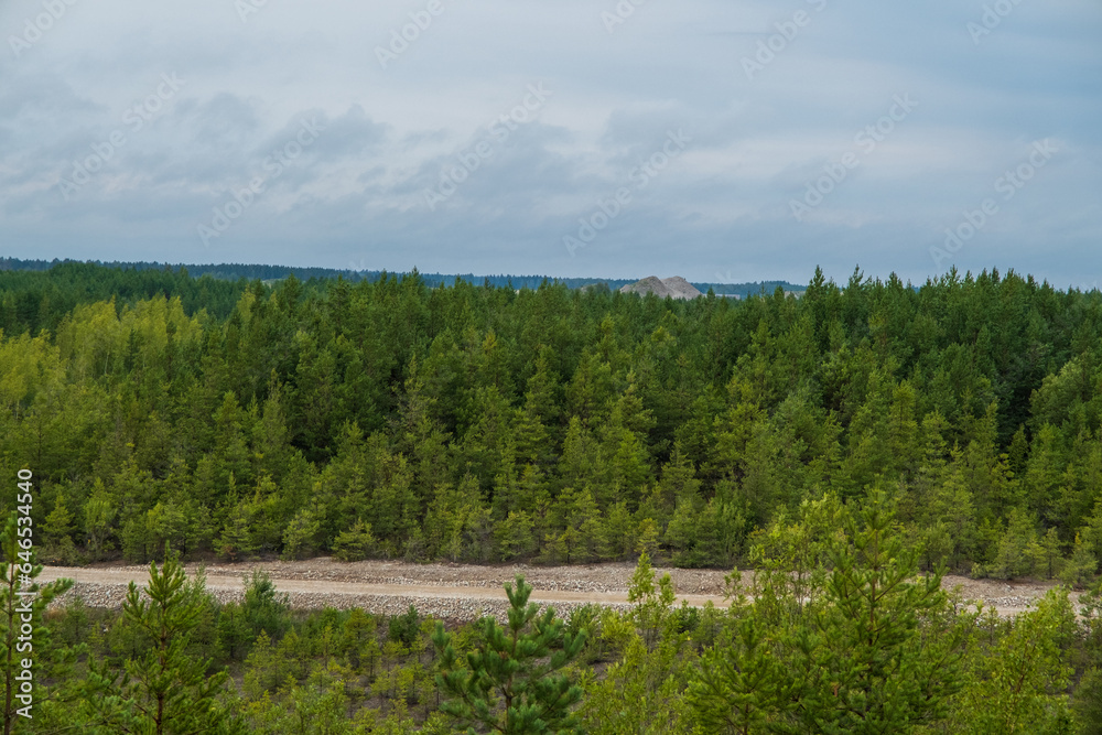 A view of the forest in the territory of Aidu quarry. Stacks of dolomite in the distance