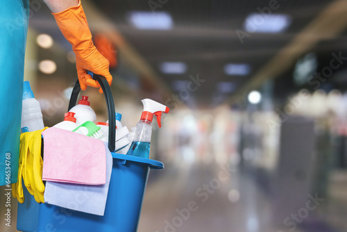 A cleaning lady with a bucket and cleaning products.