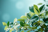 close - up of green leaves in the morning light on the background of a blurry green leaves, natural background