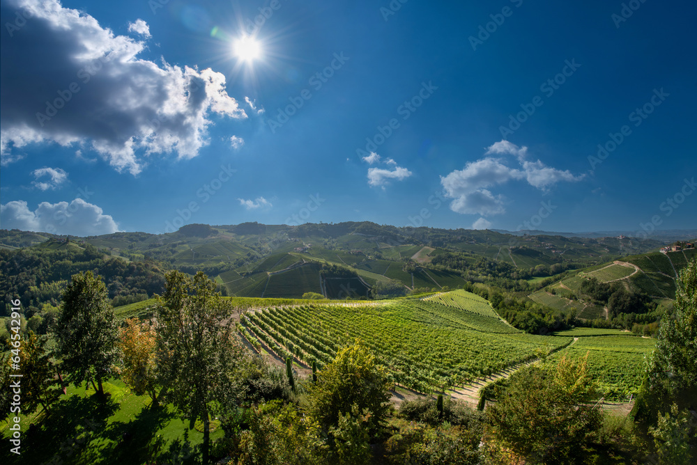Landscape in the Langhe hills, with a view of vineyards in the typical Barolo wine area in Serralunga Alba, Piedmont, Italy. Sun on blue sky and clouds