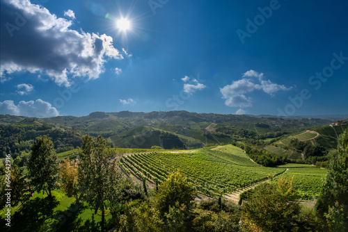 Landscape in the Langhe hills  with a view of vineyards in the typical Barolo wine area in Serralunga Alba  Piedmont  Italy. Sun on blue sky and clouds