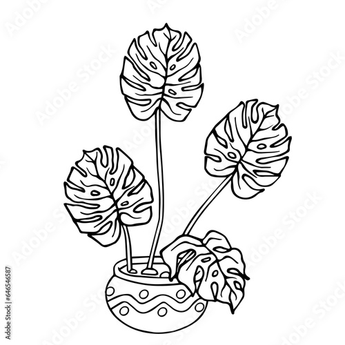 Linear sketch, coloring of a monstera in a flowerpot. Vector graphics.
