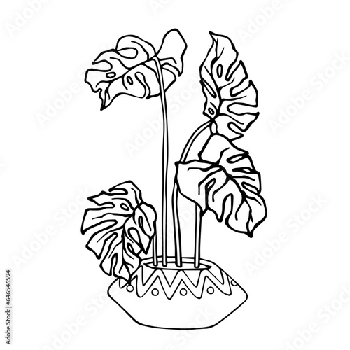 Linear sketch, coloring of a monstera in a flowerpot. Vector graphics.
