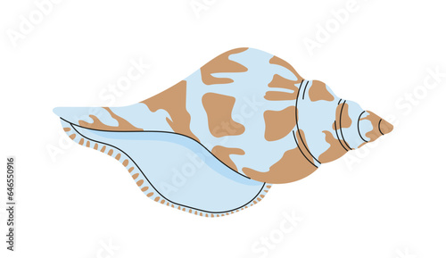 Sea shell concept. Natural sea and underwater object. Tropical countries souvenir. Sticker for social networks and messengers. Cartoon flat vector illustration isolated on white background