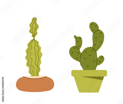 Succulents at flowerpots set. Plants in colorful flowerpots. Decor and interior elements for home. Floristry and botany. Cartoon flat vector collection isolated on white background