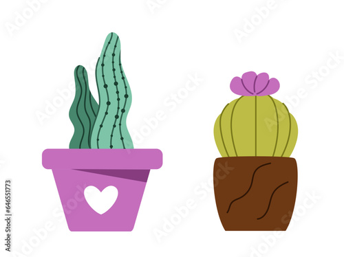 Succulents at flowerpots set. Cactus in pink and brown flowerpots. Decor and interior elements for home. Template, layout and mock up. Cartoon flat vector collection isolated on white background