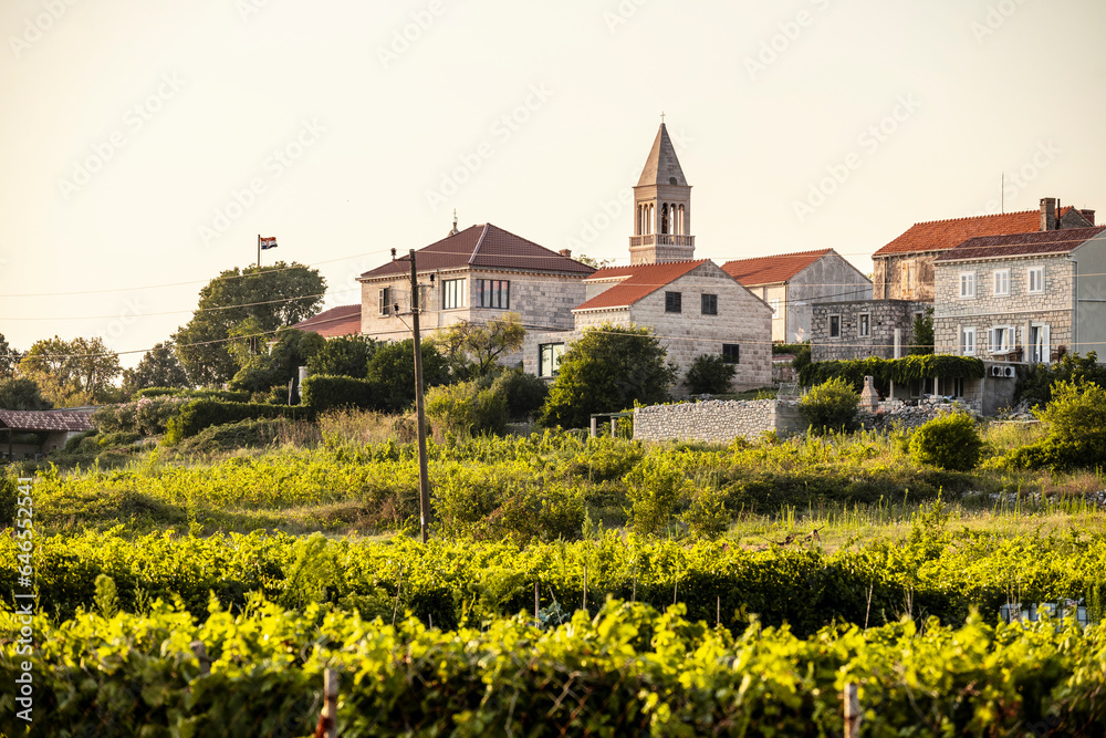 Wonderful vineyards surrounding old Vela Glavica hill at the town of Lumbarda on Korcula island, Croatia with St. Rocco church rising above stone houses during summer sunset