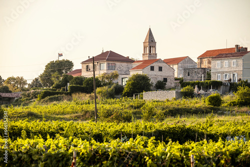 Wonderful vineyards surrounding old Vela Glavica hill at the town of Lumbarda on Korcula island, Croatia with St. Rocco church rising above stone houses during summer sunset photo
