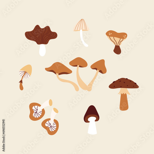 Set of cartoon mushrooms. Vector illustration.