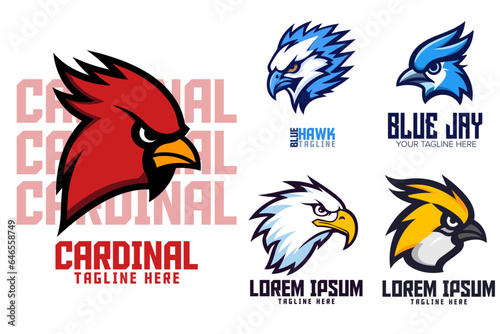 Blue jay, cardinal, hawk and other bird head logos for sport and esport teams. Blue bird, yellow bird, red bird, falcon, eagle animals logo template. Logo icon badge emblem collection.