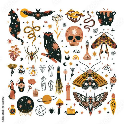 Set of magical animals and witchcraft design elements. Mystical themed hand drawn vector illustrations.
