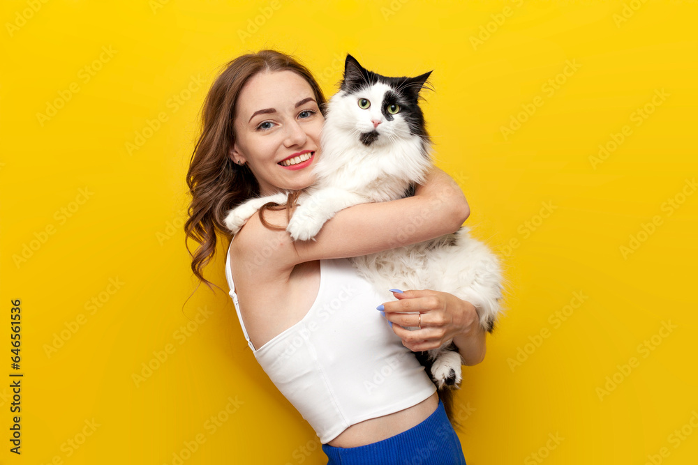 young cute girl holding black and white cat on yellow isolated background and smiling, woman with pet young cute girl holding black and white cat on yellow isolated background and smiling, woman with pet