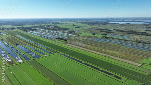 Dutch narrow meadows with ponds photo