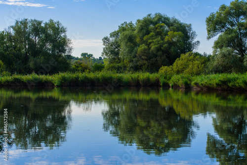 Green forest reflected in the pond.