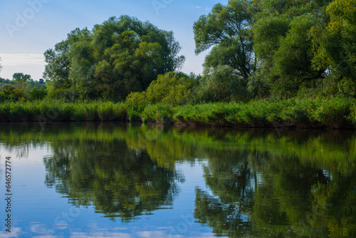 Green forest reflected in the pond.