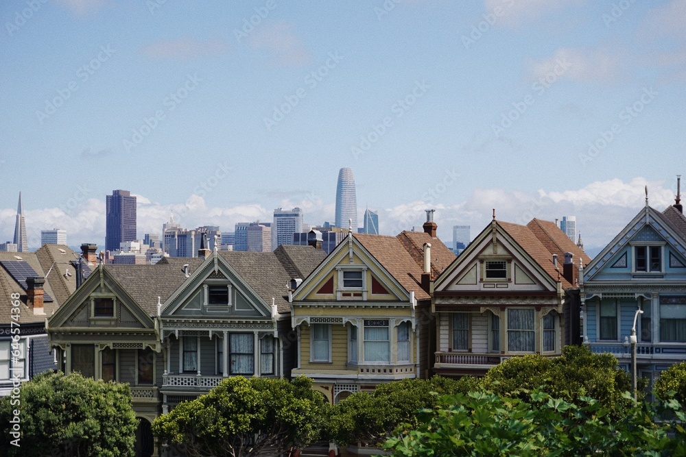 Close-up of Painted Ladies with San Francisco Skyline in the Background Close-up of Painted Ladies with San Francisco Skyline in the Background