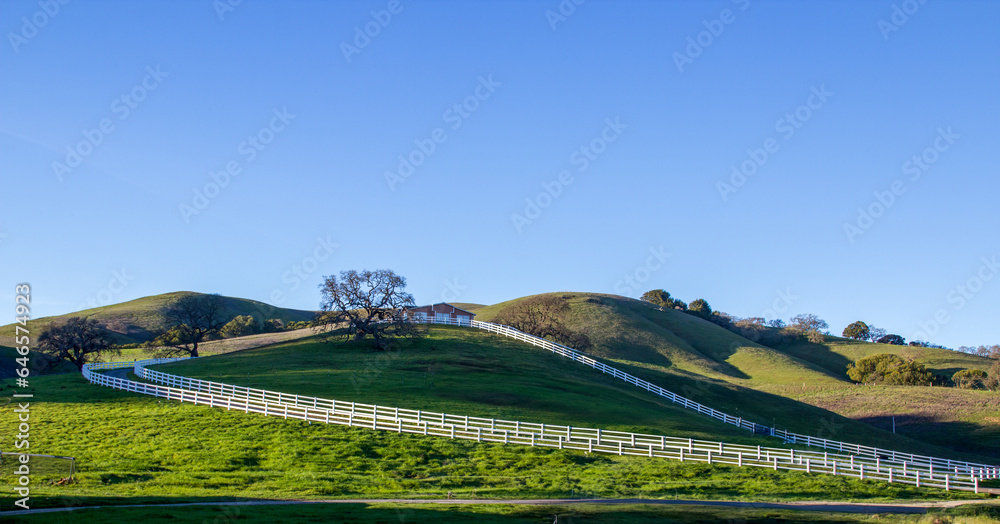 ano A white ranch fence are  running diagonally up a green grass hillside. The area inside the fence is in shadow. There is big oak tree behind the the fence. Another green hill and blue sky backgro.