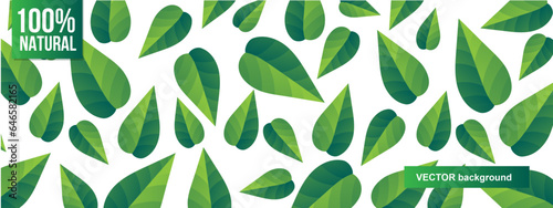 Abstract  Gradient Green Stylised Leaves on White background. Botanical Pattern.