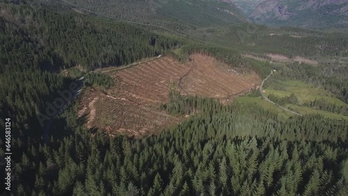 aerial view of industrial deforestation in Alaska photo