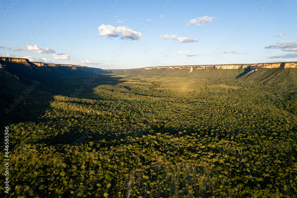 big valley with Cerrado brazilian rainforest