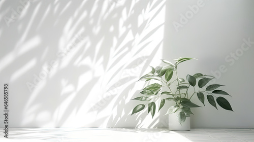 Abstract background with blurred leaf shadows on white wall perfect for product presentation, AI Generated