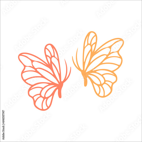 vector illustration of two butterflies outline
