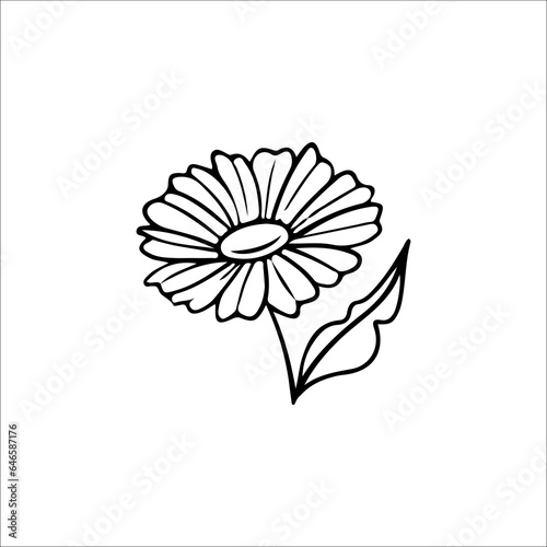 vector illustration of beautiful flower outline