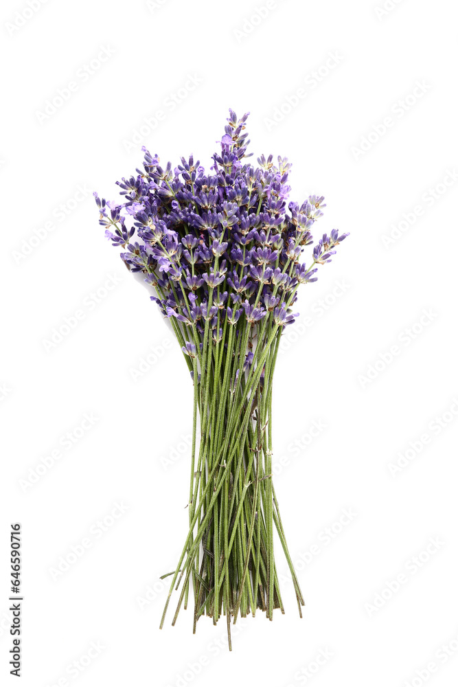 Fototapeta premium Bunch of beautiful lavender flowers on white background