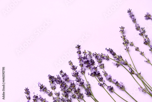 Branches of beautiful lavender flowers on light purple background