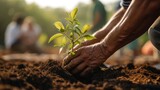 People planting trees or working in community garden promoting local food production and habitat restoration.