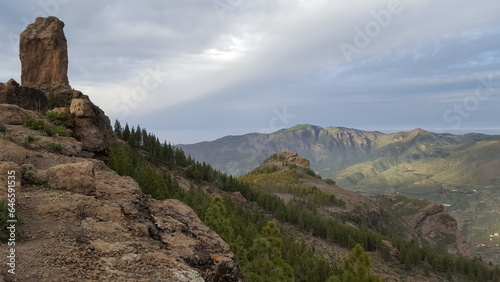 Towering mountains stretched across the horizon, their peaks shrouded in mist. The foreground was dotted with trees, their leaves shimmering in the sunlight.