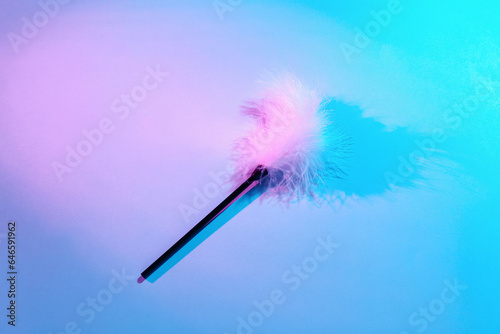 Feather stick from sex shop on color background
